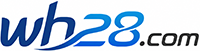 28大模型预测